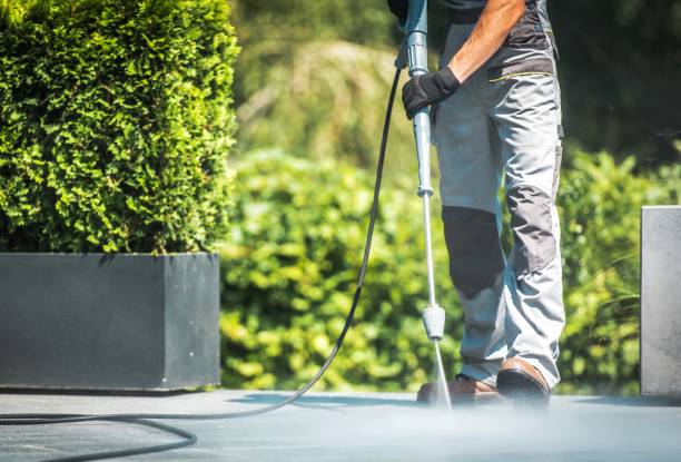 Best Gutter Cleaning  in Van Vleck, TX